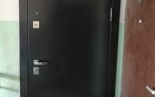 входная дверь в квартиру, окрас порошковое напыление